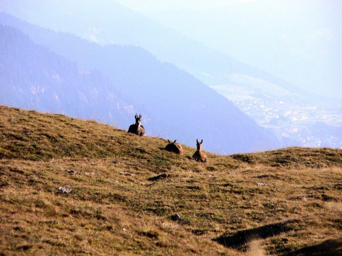 Alpenflair Nauders
