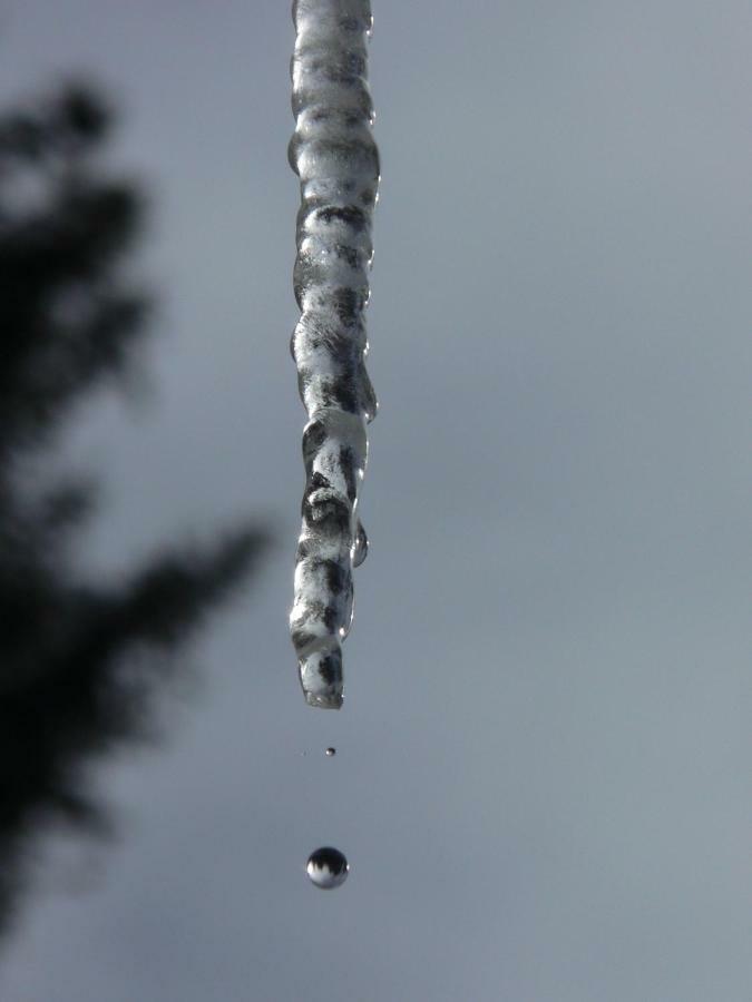 Appartamento Alpenflair